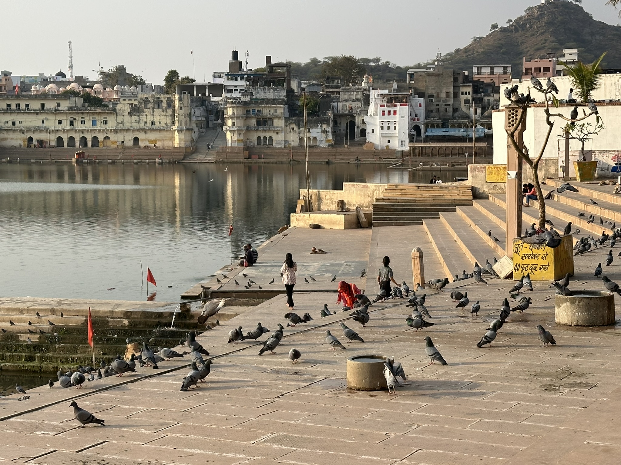 Ghaty nad jeziorem Pushkar w Indiach ze świątyniami i gołębiami