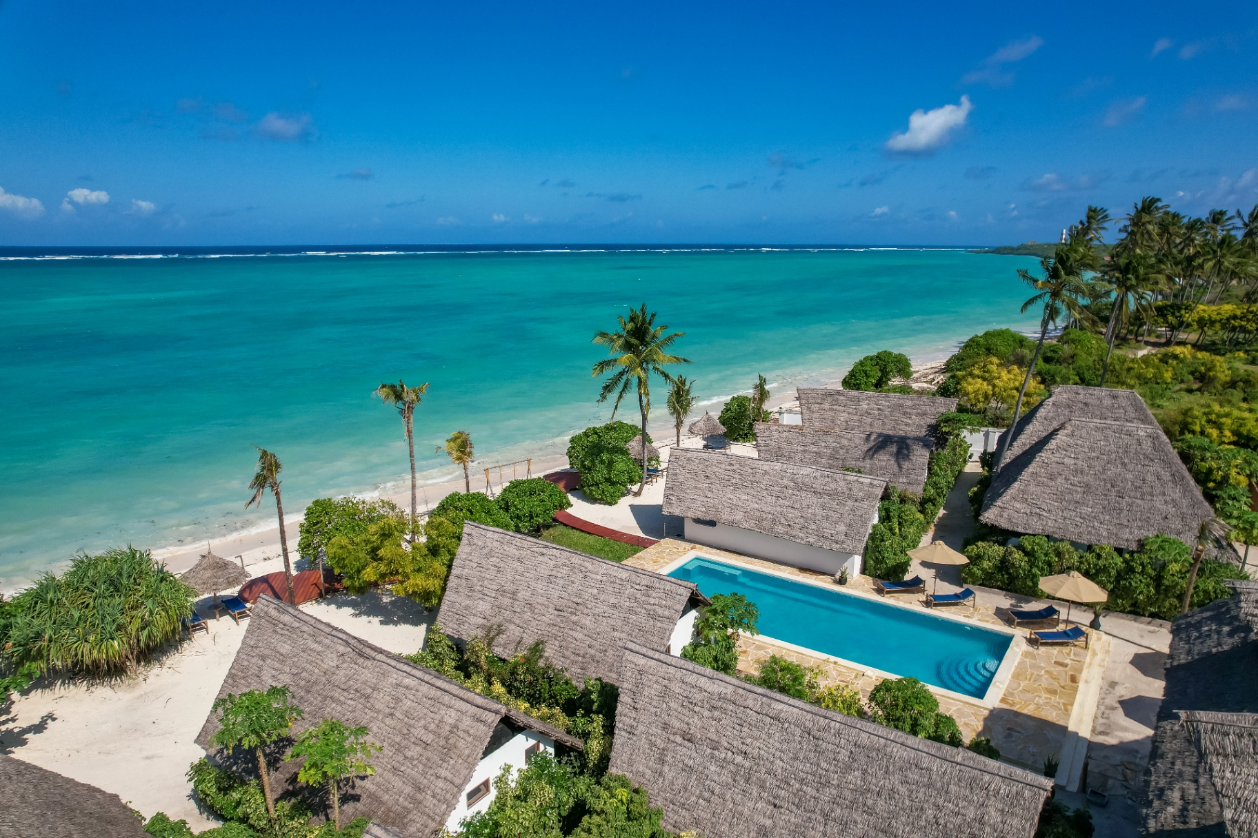 Wille kryte makuti nad turkusowym oceanem na Zanzibarze - wyprawa z MyMagicTour