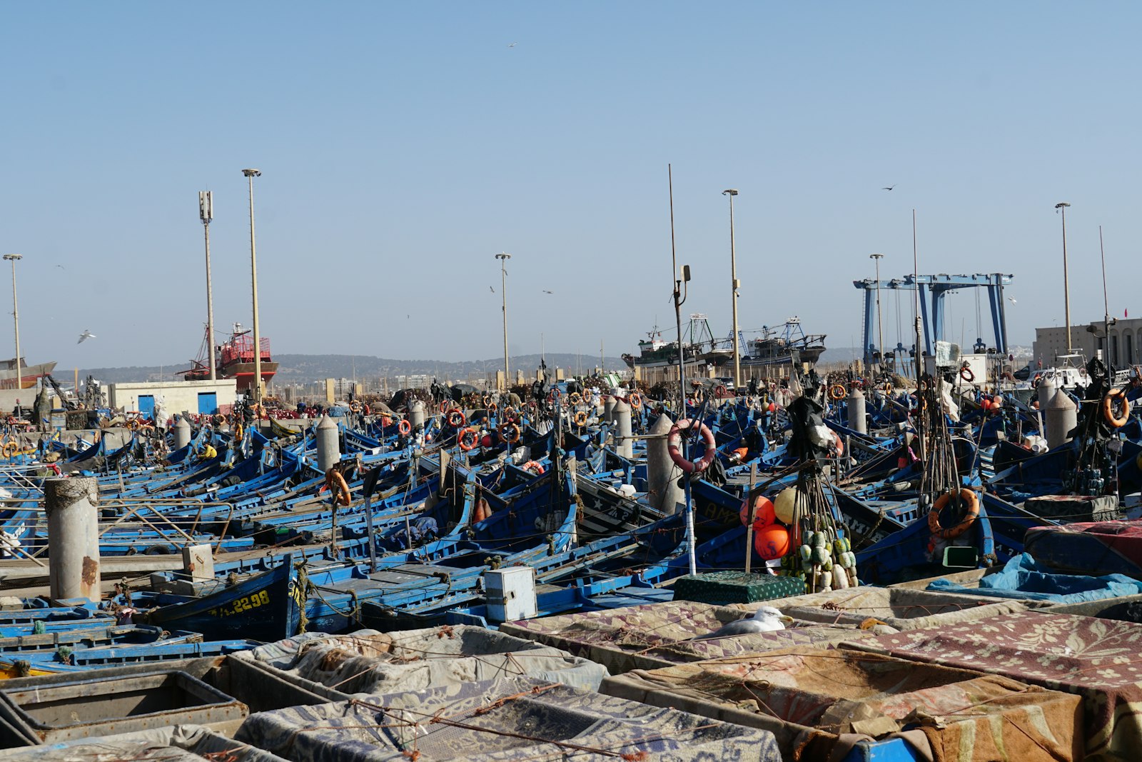 Niebieskie łodzie rybackie w porcie Essaouira nad Atlantykiem, Maroko